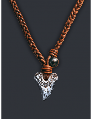 Shark Tooth Pendant de votre